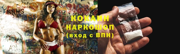 мдпв Богородицк