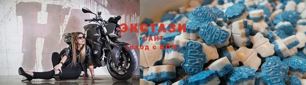 мдпв Богородицк