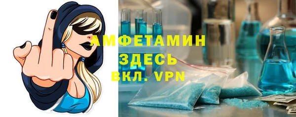 мдпв Богородицк