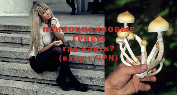 прущие крисы Богданович