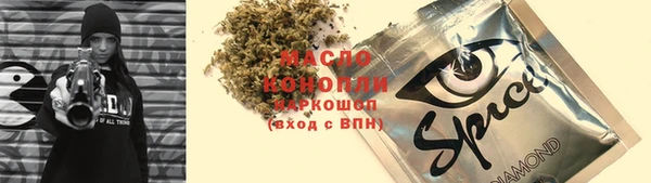 мдпв Богородицк