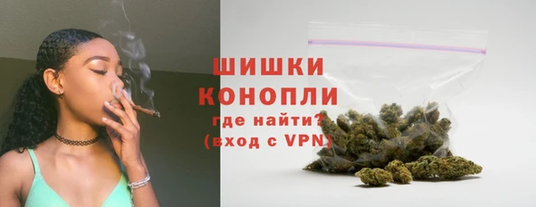 мдпв Богородицк
