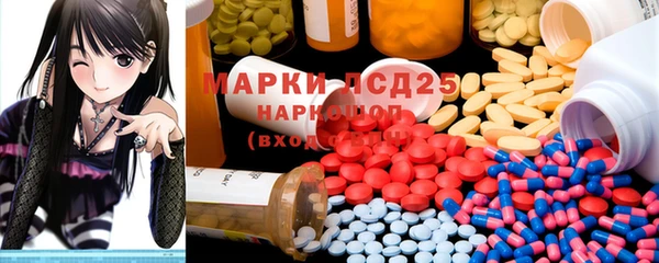 мдпв Богородицк