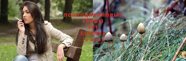 бутират Богородск